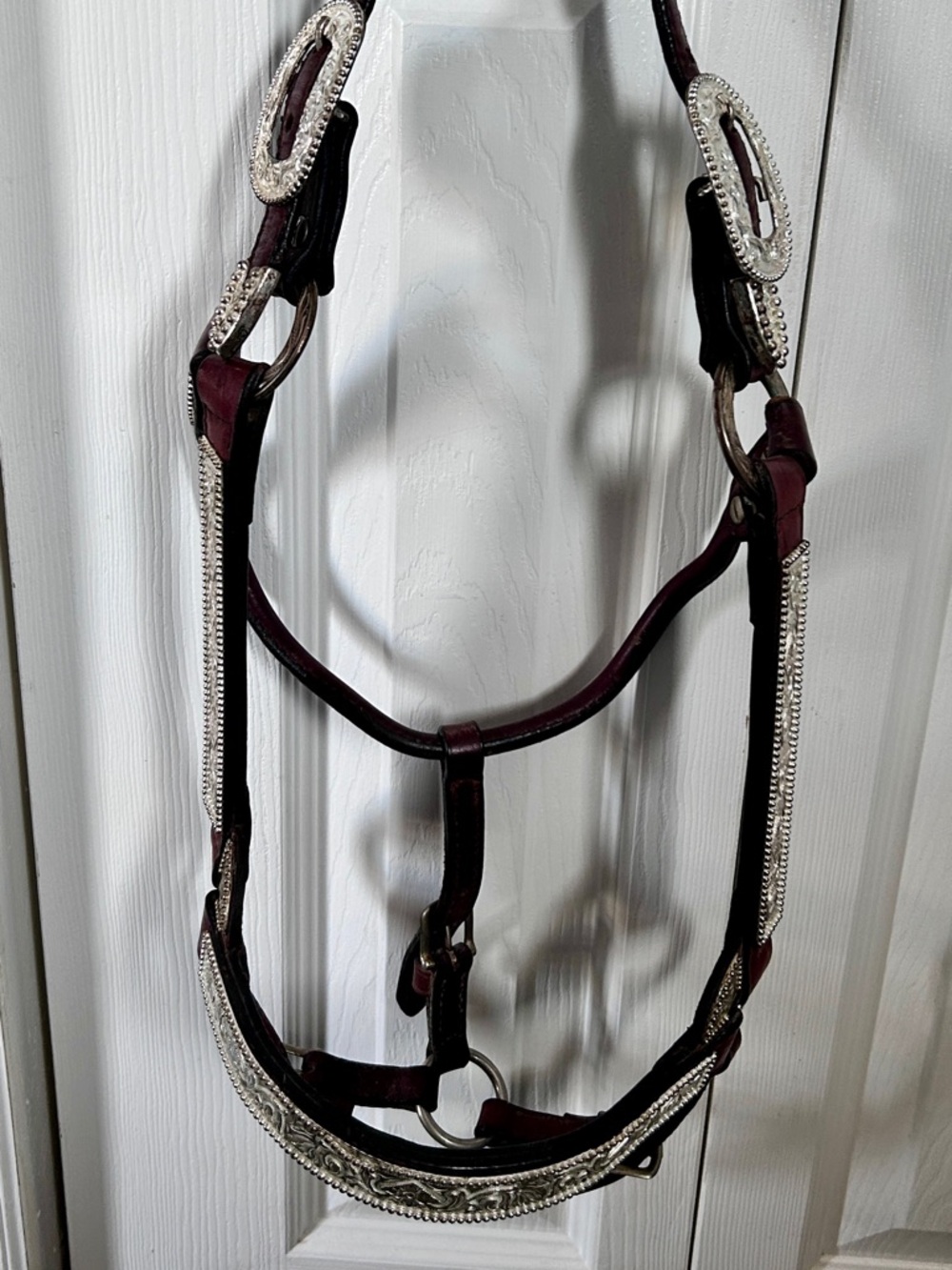 Circle Y Horse sized show halter, cherry color, plenty of silver